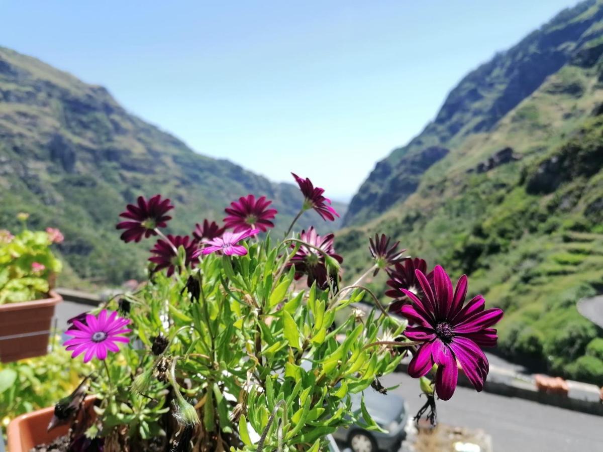 Green Valley House Madeira 리베이라브라바 외부 사진