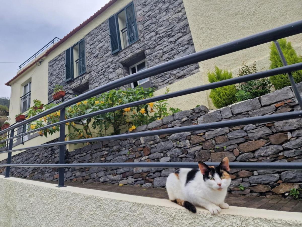 Green Valley House Madeira 리베이라브라바 외부 사진